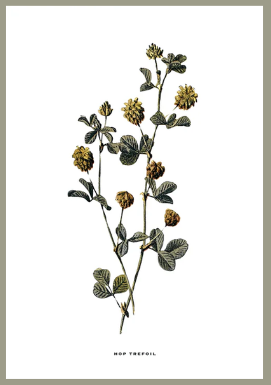 Flower art image 1
