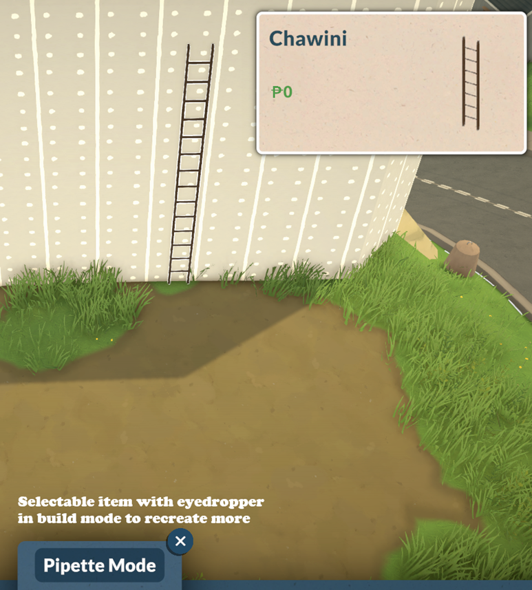 Decorative Ladder Item image 6