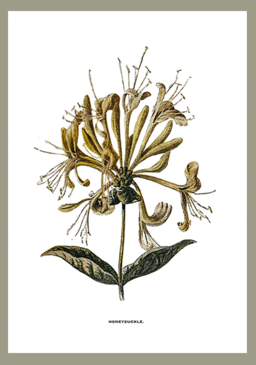 Flower art image 5