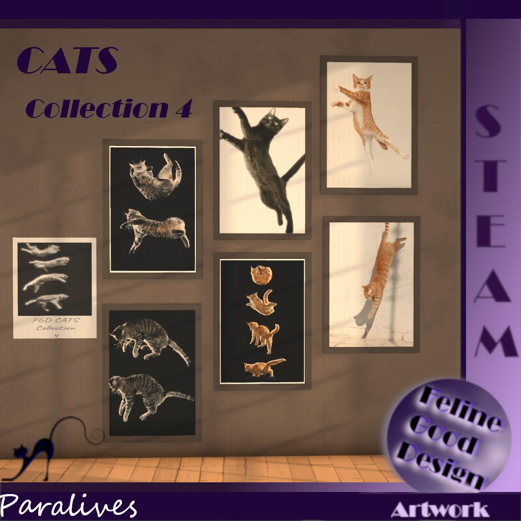 FGD CATS Collection 4 image 1