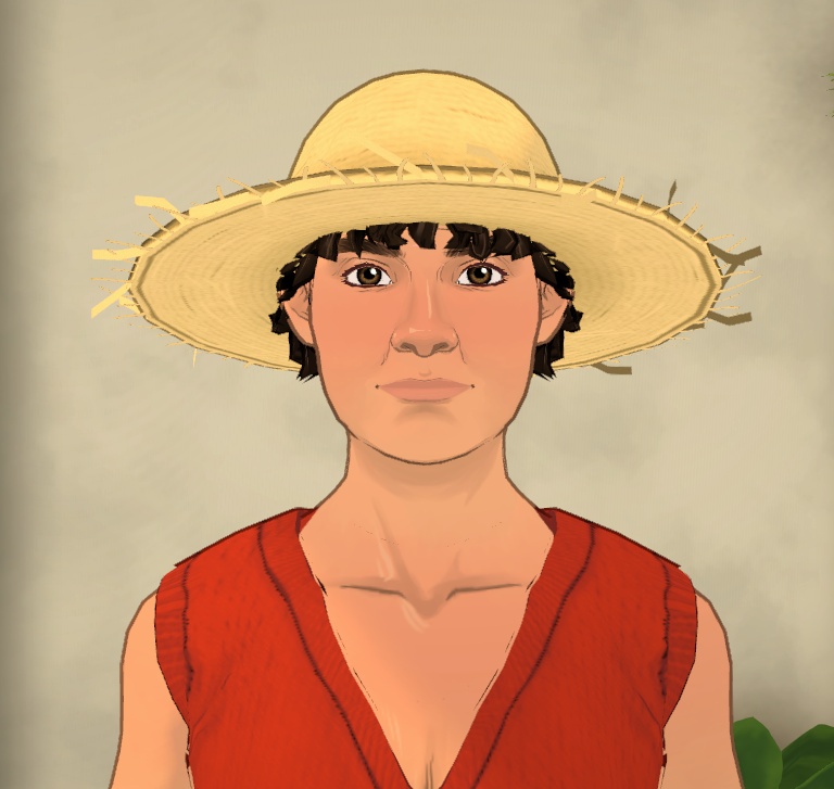 Monkey D. Luffy image 4