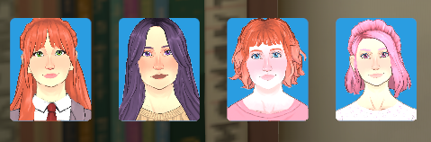 The DDLC Household image 1