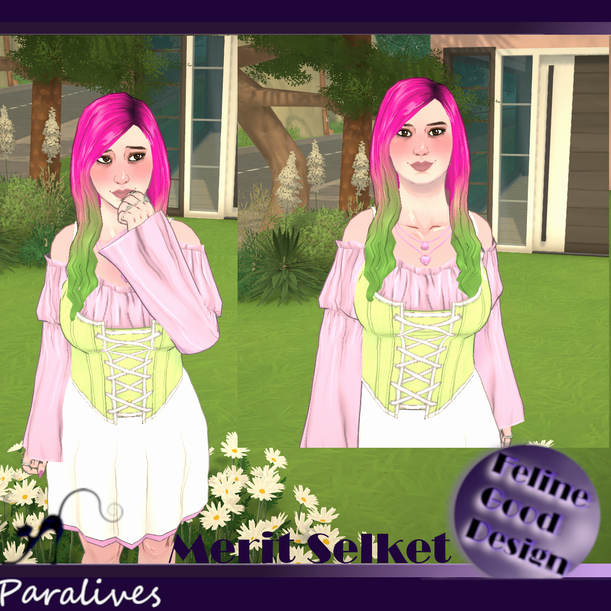 Merit Selket image 2