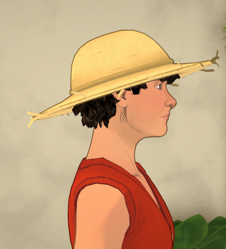 Monkey D. Luffy image 7