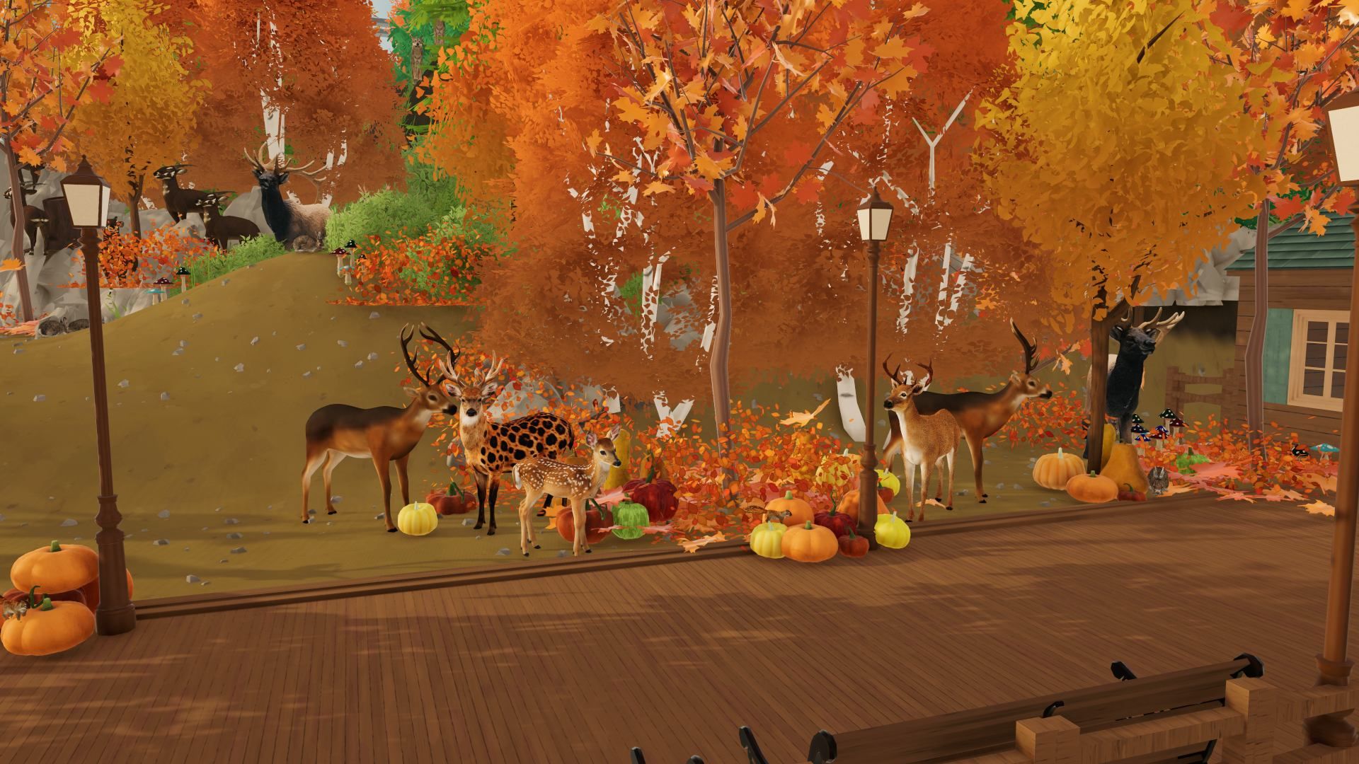 Bellora Autumn Harbor image 6