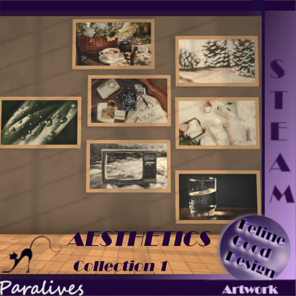 FGD AESTHETICS Collection 1 image 1