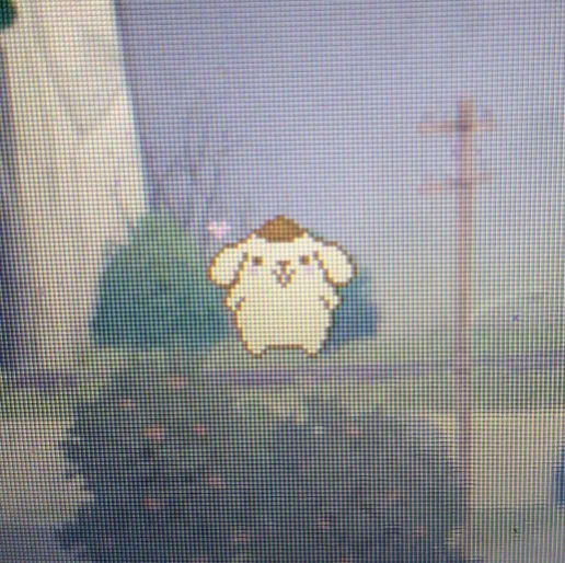 Pompompurin UI Pack ! image 3