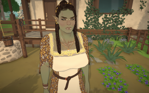 Bashuk The Orc image 5