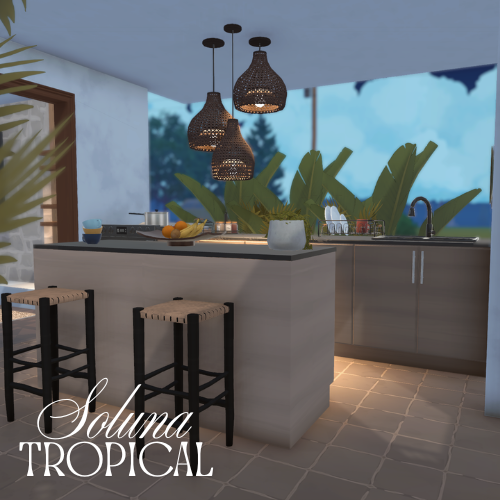 MODERN TROPICAL HOME image 2
