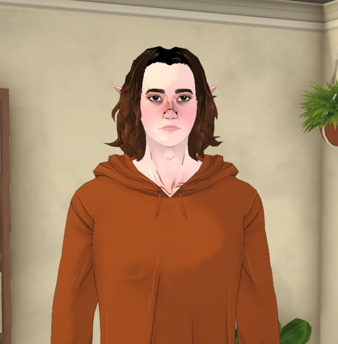 The Cazzious Household image 1