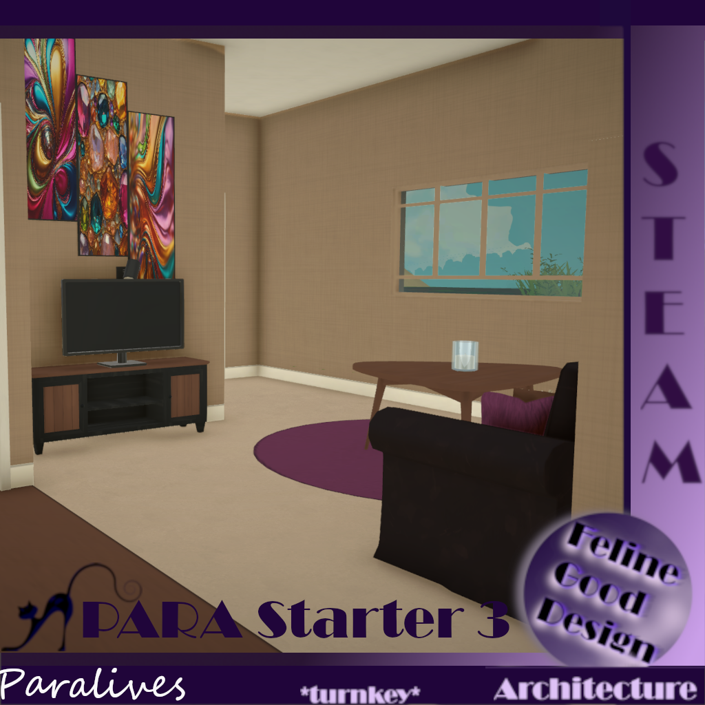 PARA Starter 3 -turnkey- image 5
