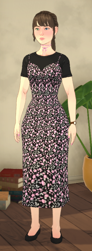 Raynor-Haushalt image 3