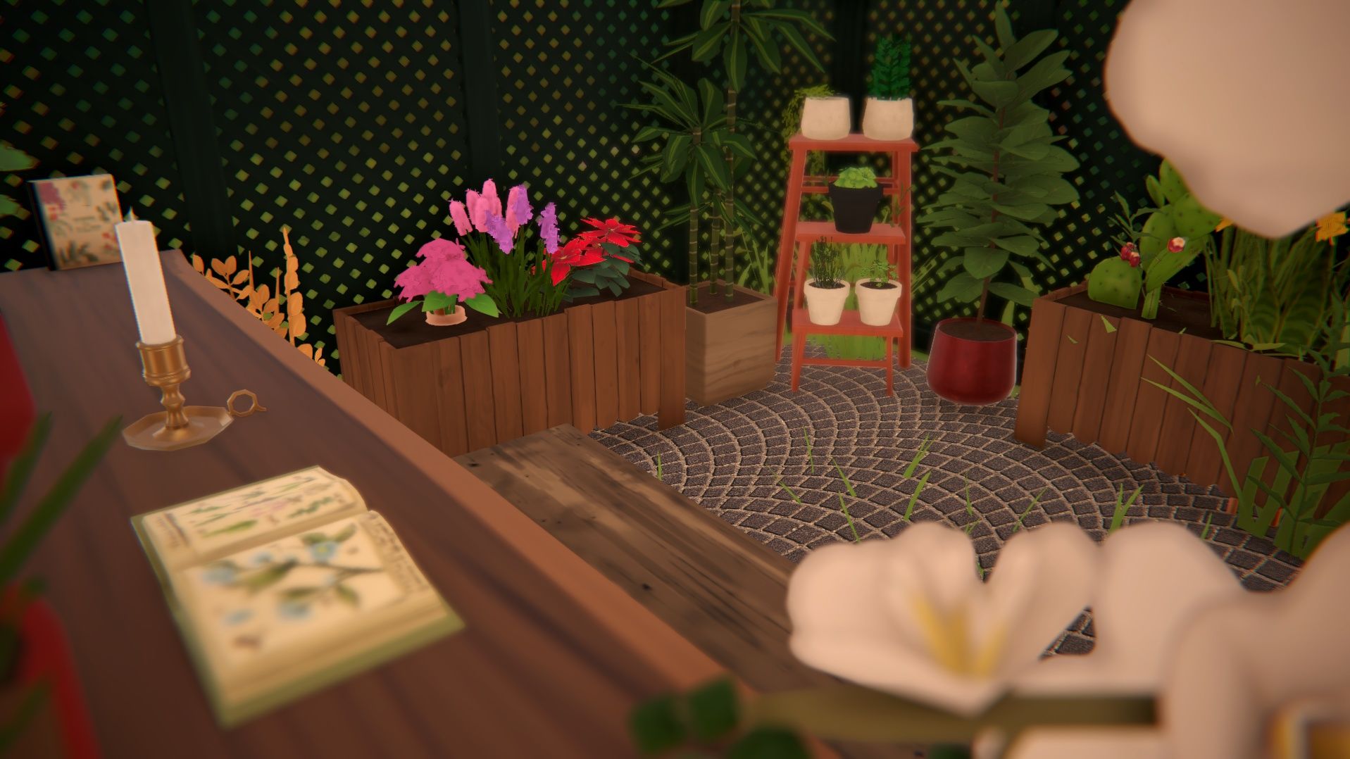 The Cozy Witch's Tiny Cabin image 6