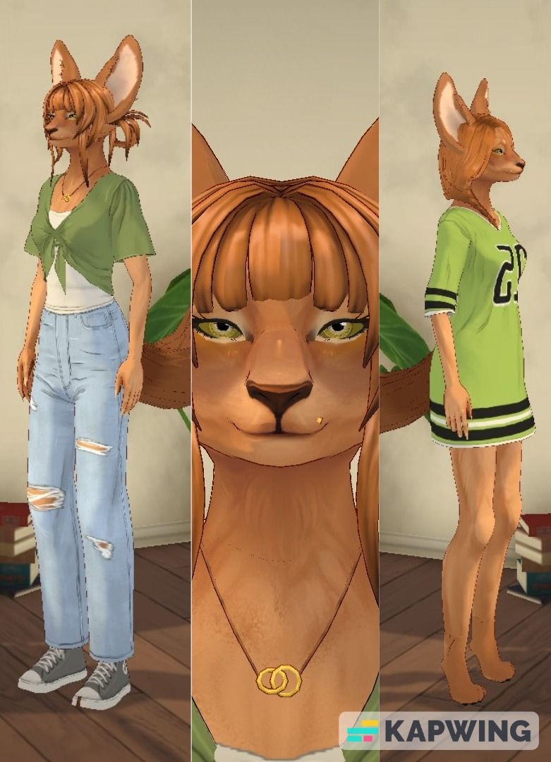Para Furries image 4