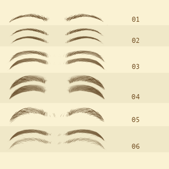 Set of 6 Eyebrows image 1