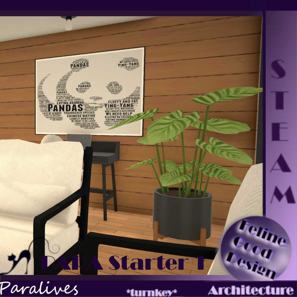 PARA Starter 1 -turnkey- image 7