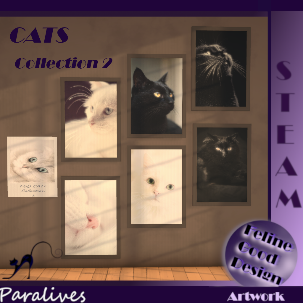 FGD CATS Collection 2 image 1