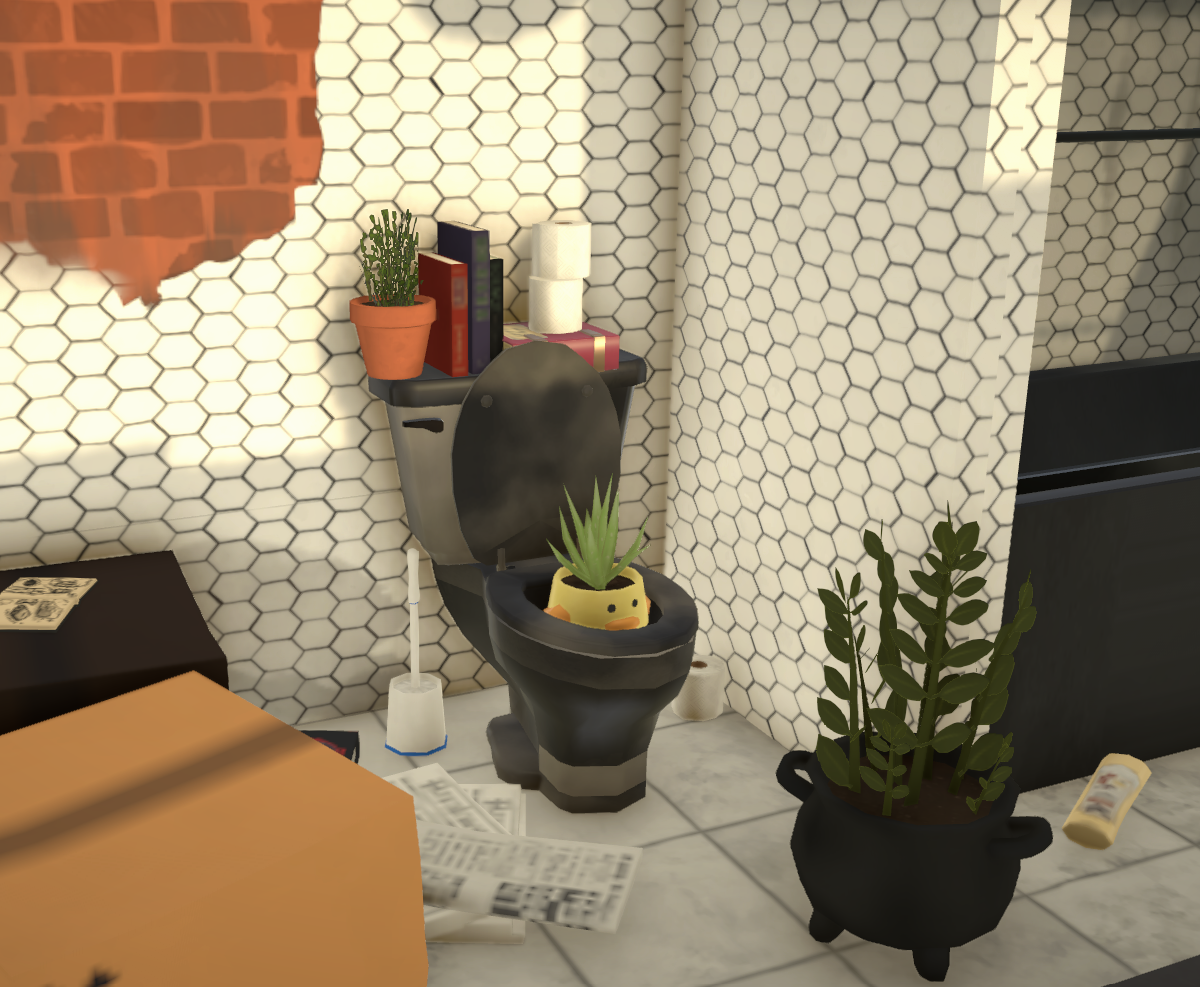 Hoarder's House image 4