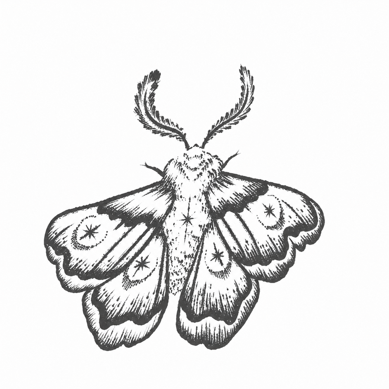 Mothlight Tattoo Collection image 5