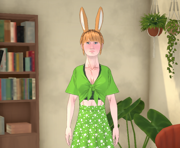 The Taiki Shuttle Household image 1