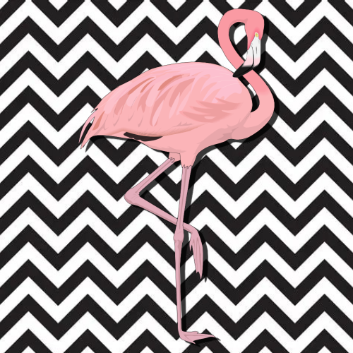 Fabulous Flamingos image 8