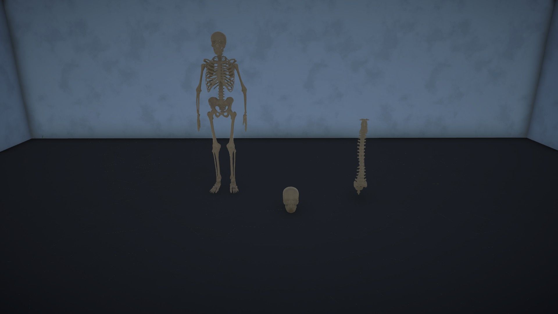 Pack Mortuary image 6