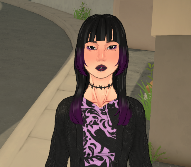 The Moon Household image 1