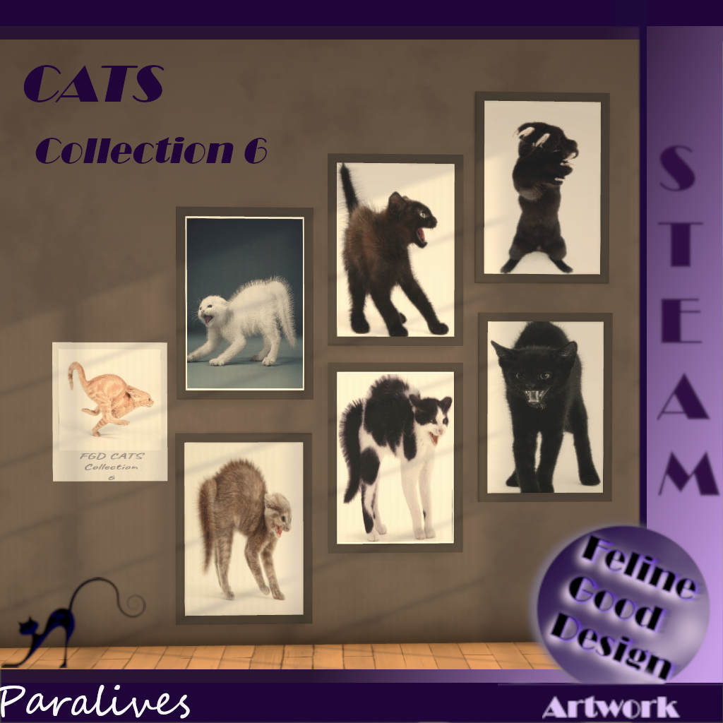 FGD CATS Collection 6 image 1