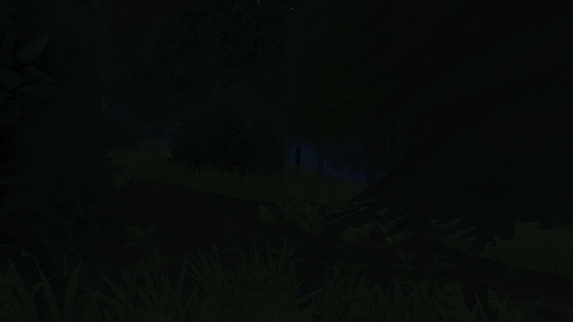 Rotting image 1