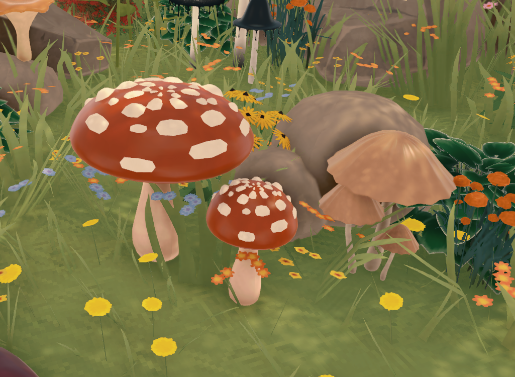 Mushrooms image 3