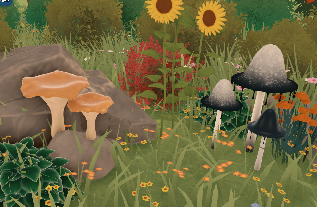 Mushrooms image 4