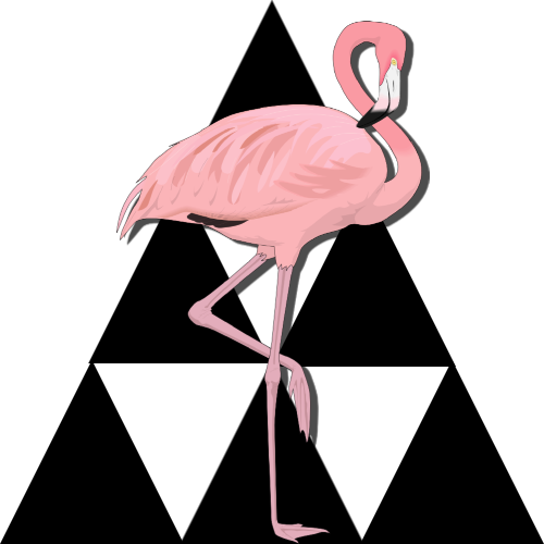 Fabulous Flamingos image 7
