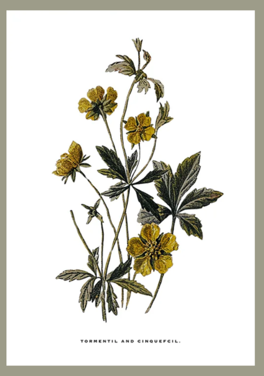 Flower art image 3