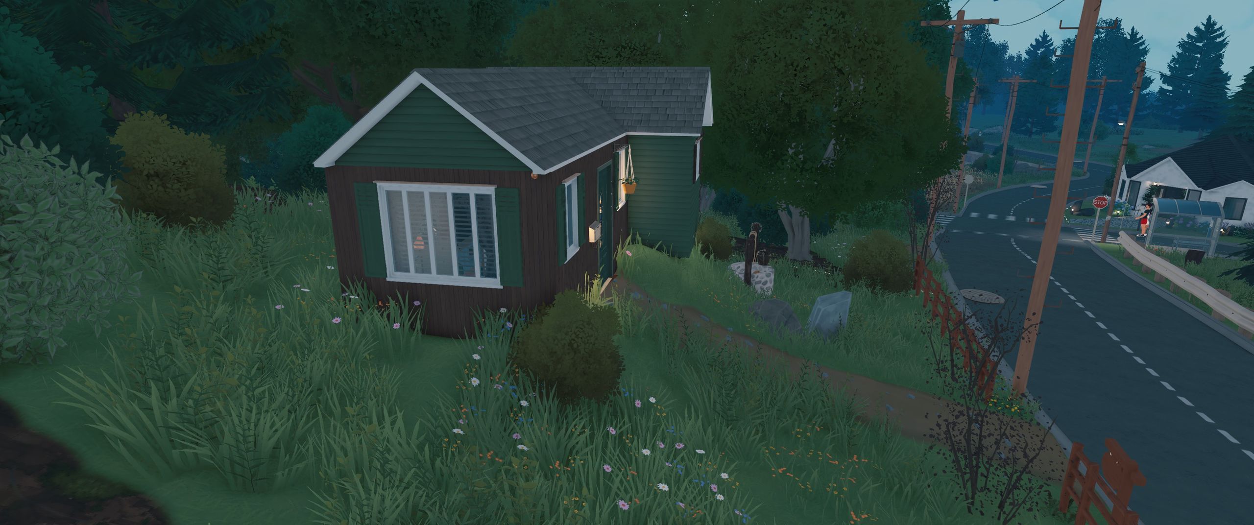Tiny Cozy Cluttered Home image 14