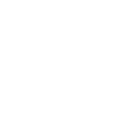 Mechanic