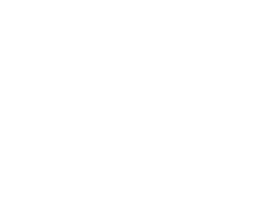 Repair kit