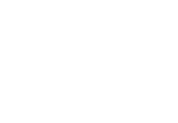 Planks (3 at the start)