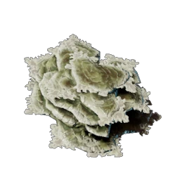 40 Brittle Shroud Flakes
