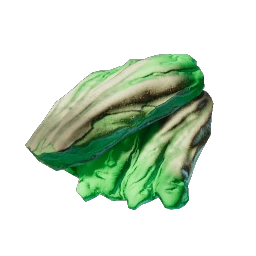 20 Mint Mushroom Meat