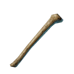 5 Bones