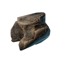 20 Fossilized Bone