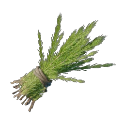 20 Rooibos