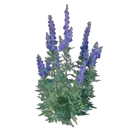50 Wolfsbane
