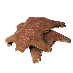 5 Animal Fur