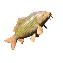 Lakehopper