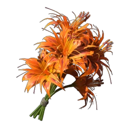 30 Daylily