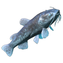 Shockfin