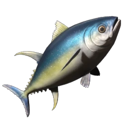 Yellowfin