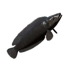 Shadowtail