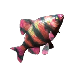 Emberfin
